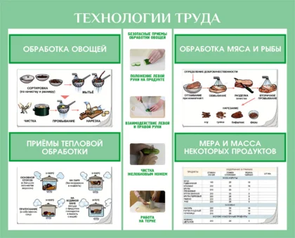 Стенд «Технологии труда: обработка продуктов»