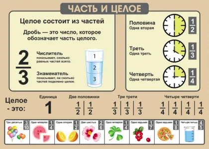 Стенд «Часть и целое: дроби»
