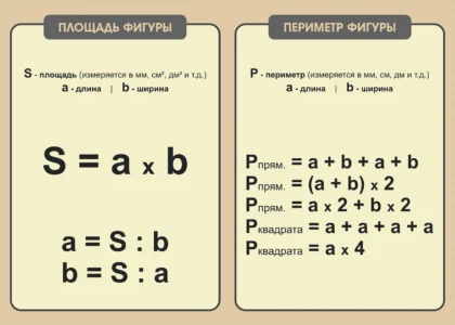 Стенд «Площадь и периметр фигуры»