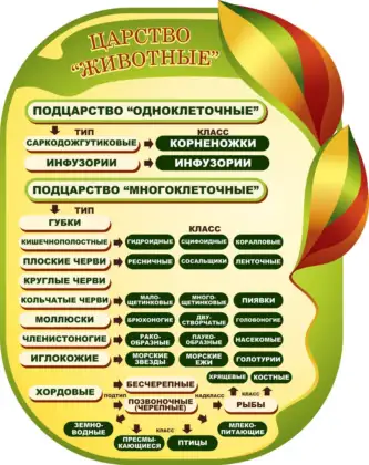 Фигурный стенд по биологии «Царство Животные»