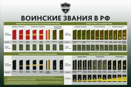 Стенд «Воинские звания в РФ»