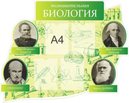Стенд «Познавательная биология. Мыслители»