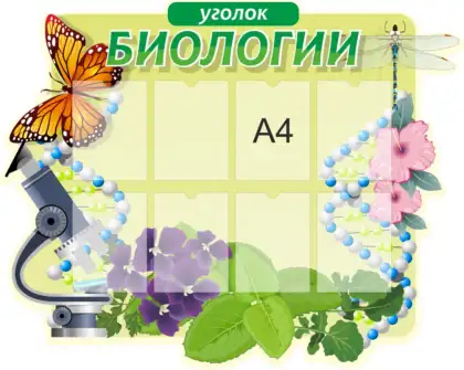 Фигурный стенд «Уголок биологии» с 8 карманами A4