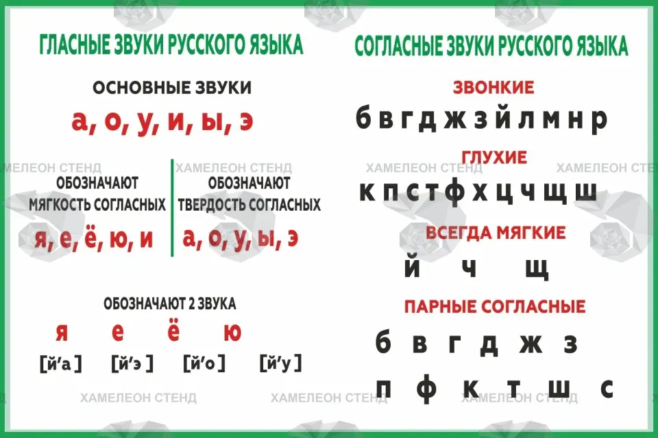 Стенд «Гласные и согласные звуки русского языка»