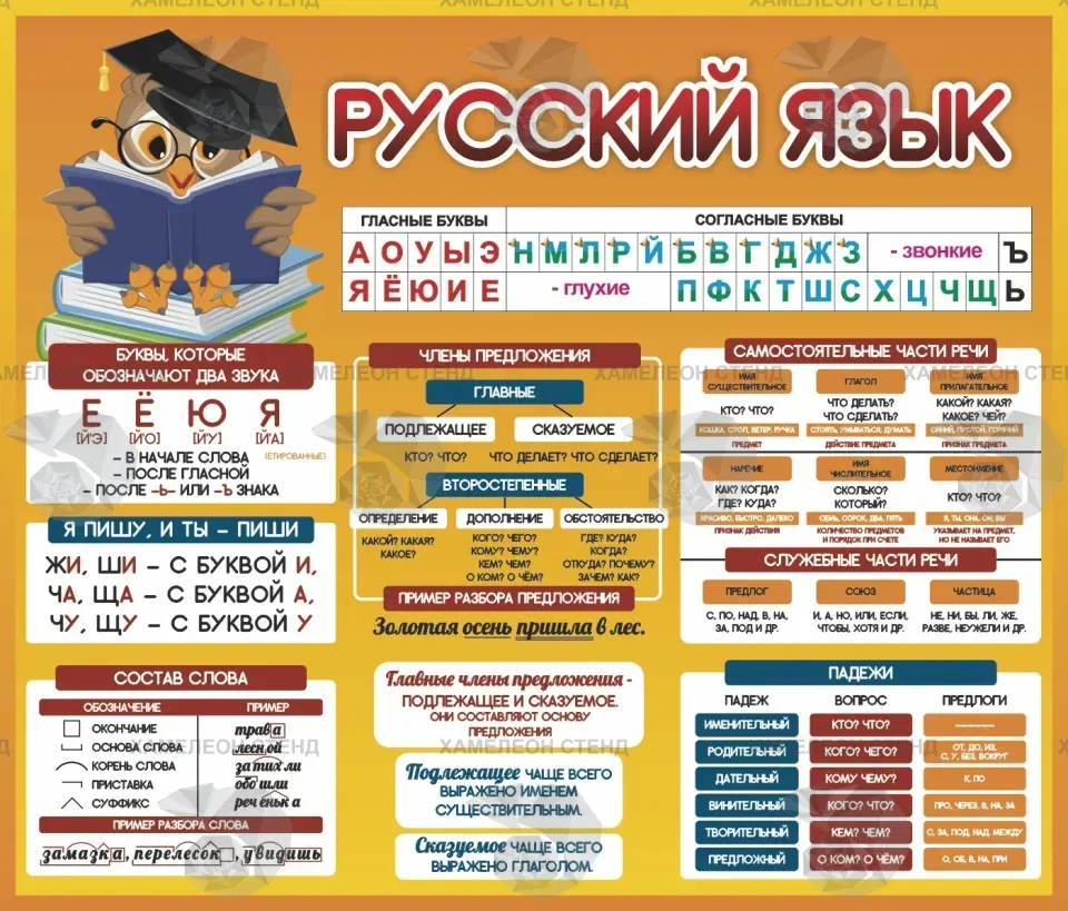 Стенд «Русский язык» для начальной школы