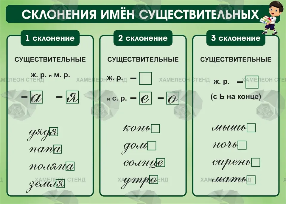 Стенд «Склонения имён существительных»