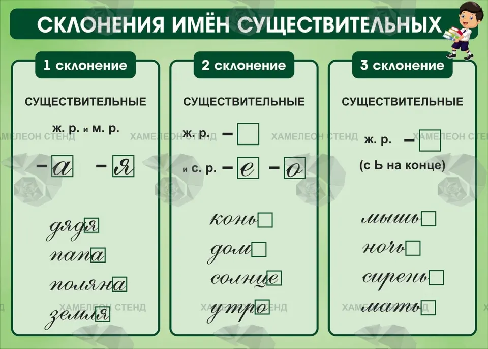 Стенд «Склонения имён существительных»