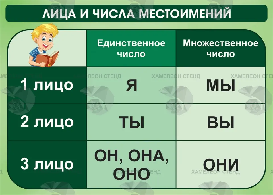 Стенд «Лица и числа местоимений»