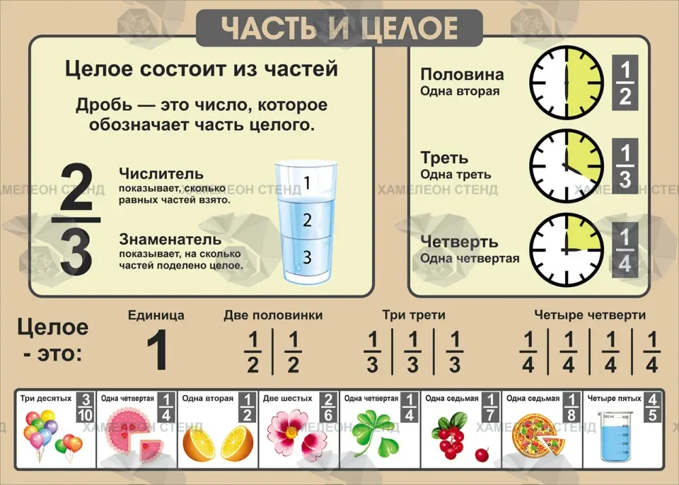 Стенд «Часть и целое: дроби»