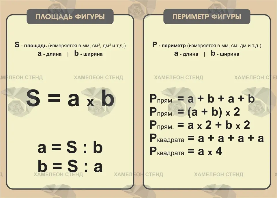 Стенд «Площадь и периметр фигуры»