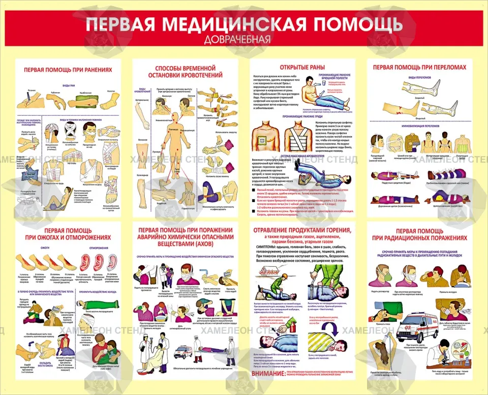 Стенд «Первая медицинская помощь доврачебная»