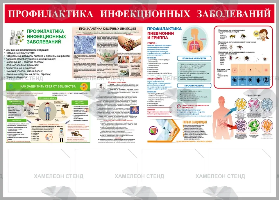 Стенд «Профилактика инфекционных заболеваний» с 4 карманами А4