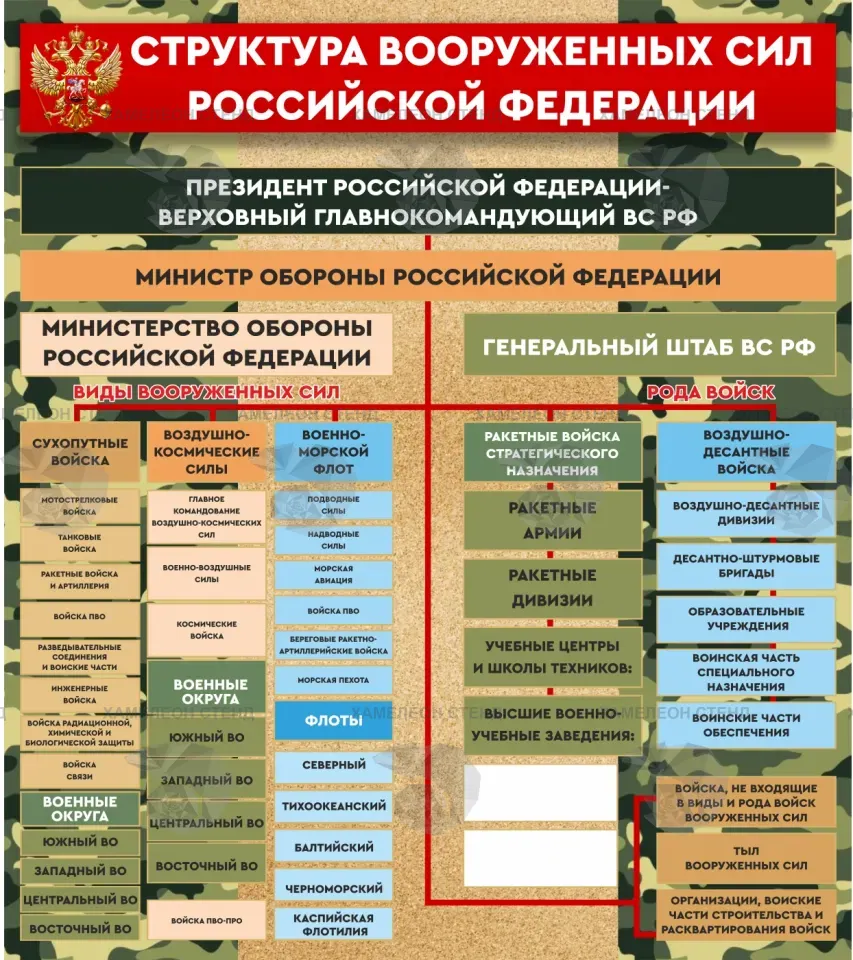 Стенд «Структура Вооруженных сил Российской Федерации»