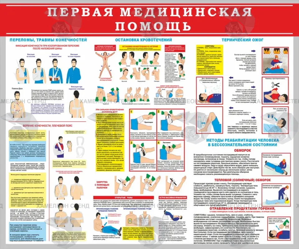Стенд «Первая медицинская помощь» с иллюстрациями приемов помощи