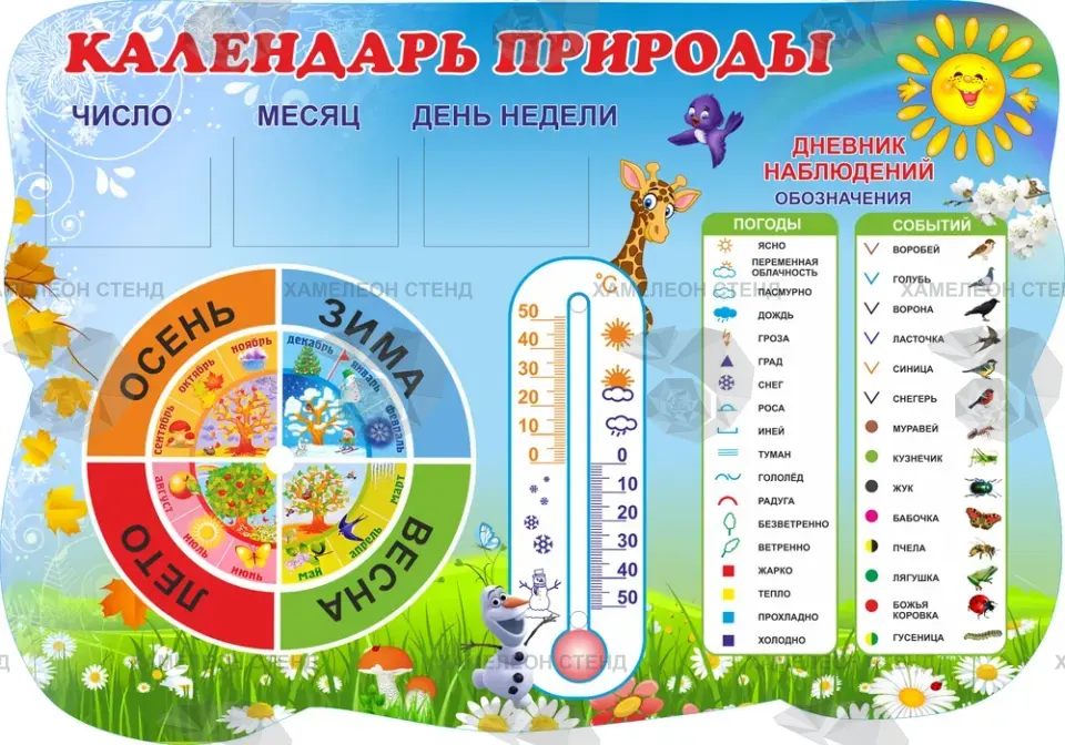 Фигурный стенд «Календарь природы» с 3 карманами A6