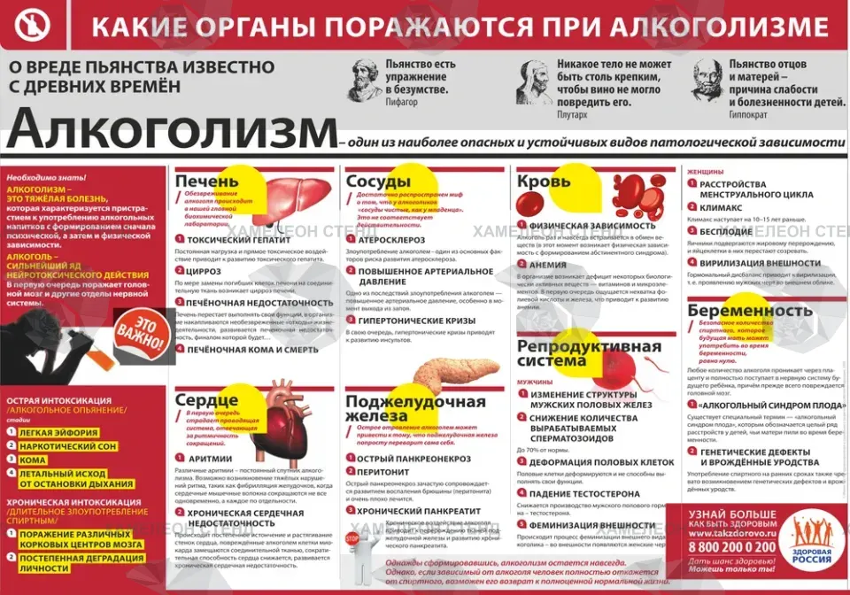 Безопасность Алкоголизм