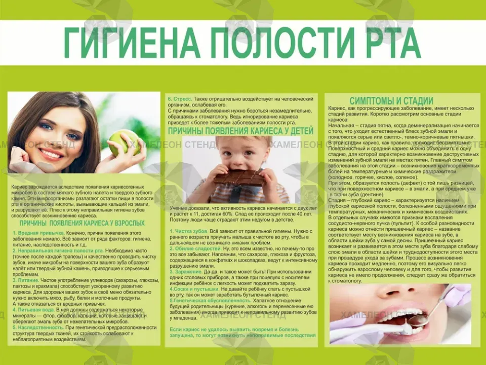 Стоматологический стенд «Гигиена полости рта»