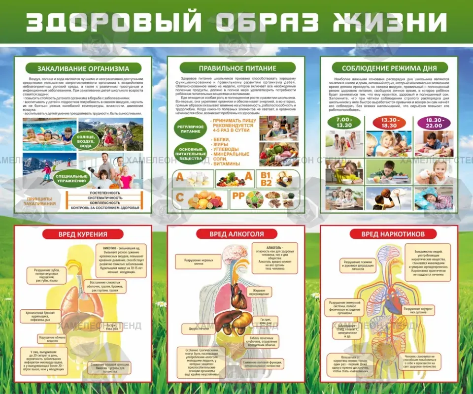 Стенд «Здоровый образ жизни»