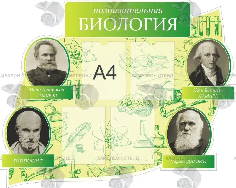 Стенд «Познавательная биология. Мыслители»