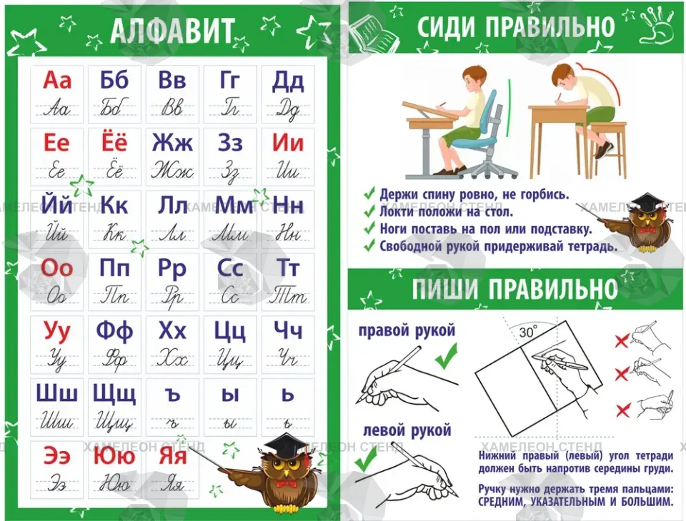 Комплект стендов «Алфавит и правильная посадка» для начальной школы