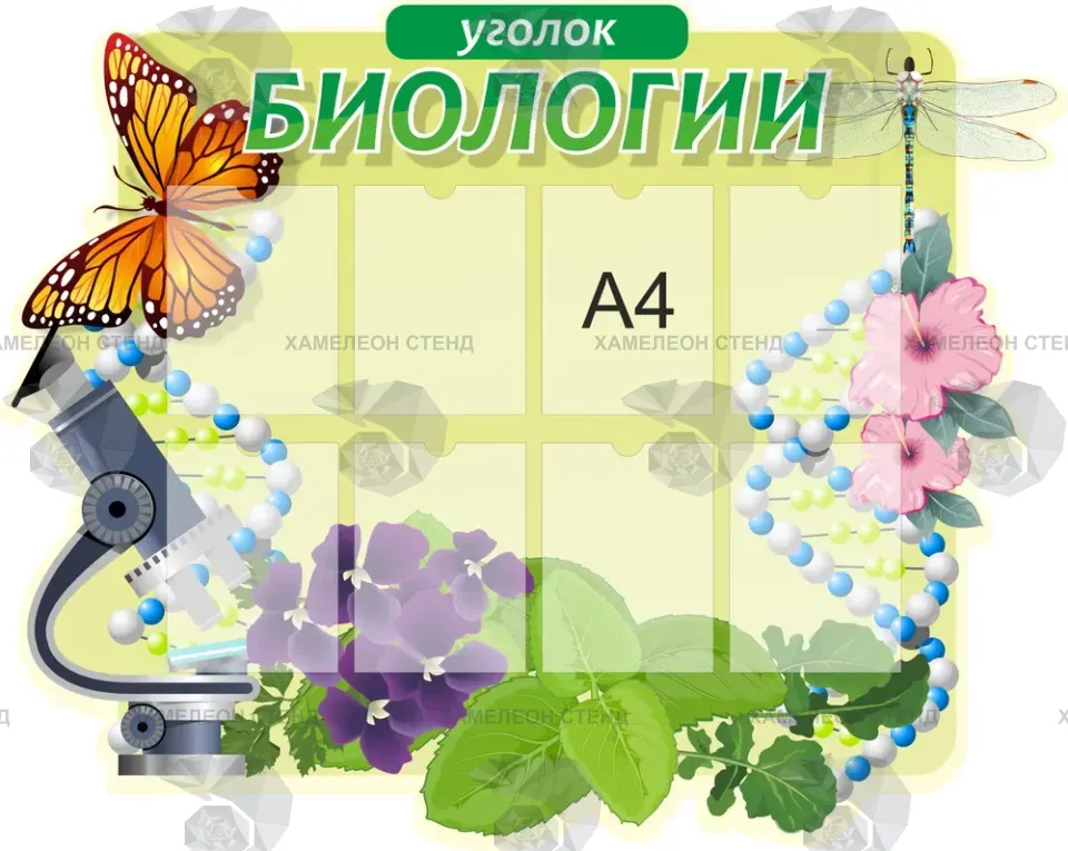 Фигурный стенд «Уголок биологии» с 8 карманами A4