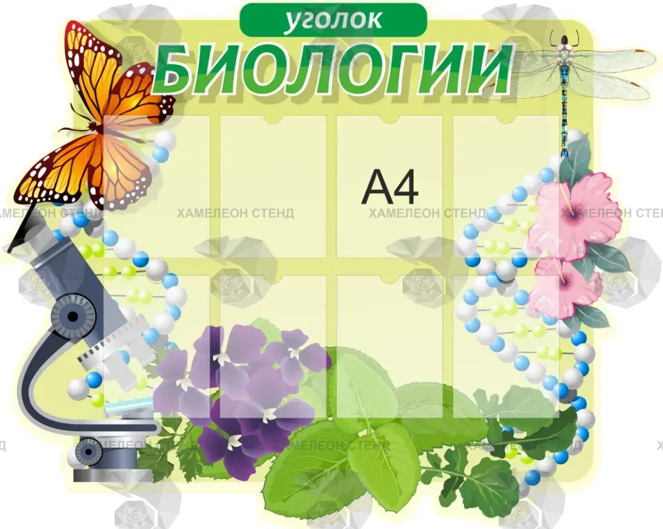 Фигурный стенд «Уголок биологии» с 8 карманами A4