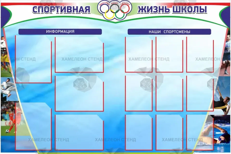 Стенд «Спортивная жизнь школы» с 14 карманами